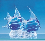 [Image: Sun Fish]