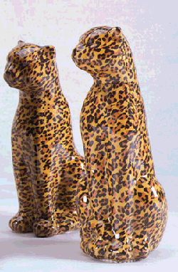 [Image: Cheetahs]