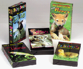 [Image: Animal Videos]