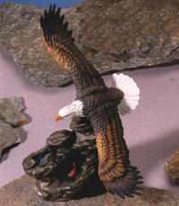 [Image: Swooping Eagle]